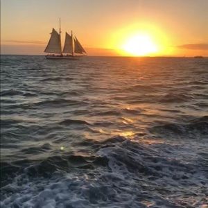 Meet your Posher, Laurieann